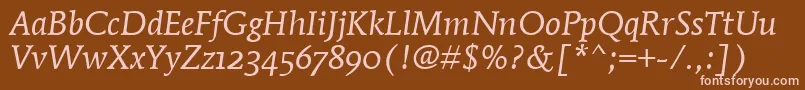 MendozaRomanOsItcTtBookita Font – Pink Fonts on Brown Background