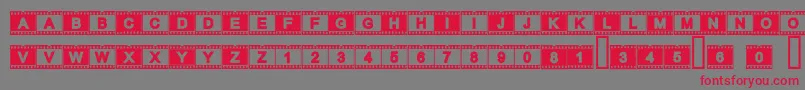 Czcionka Acfilmstrip – czerwone czcionki na szarym tle