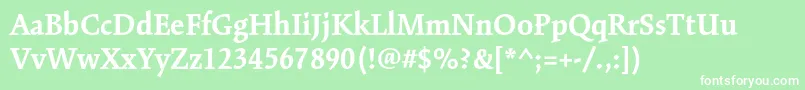 KinesisstdBold Font – White Fonts on Green Background