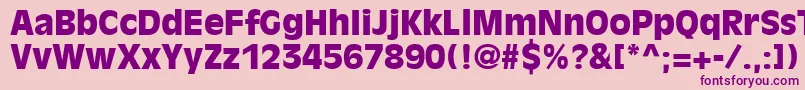 DecadeBlackSsiBlack Font – Purple Fonts on Pink Background