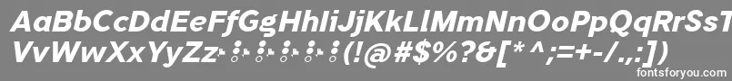フォントTripletaExtraboldItalic – 灰色の背景に白い文字