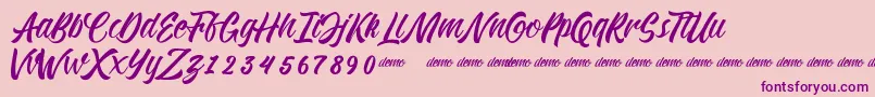 KadisokaScript Font – Purple Fonts on Pink Background