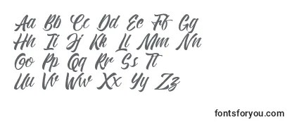 Обзор шрифта KadisokaScript