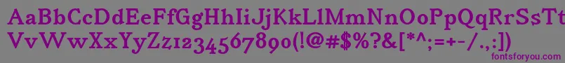 IrianisadfstdBold-fontti – violetit fontit harmaalla taustalla