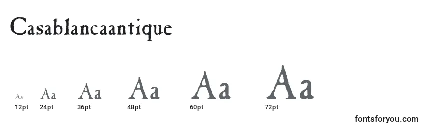 Размеры шрифта Casablancaantique