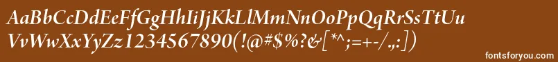 ArnoproSmbditalicdisplay-Schriftart – Weiße Schriften auf braunem Hintergrund