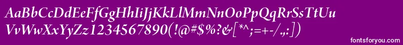 ArnoproSmbditalicdisplay Font – White Fonts on Purple Background