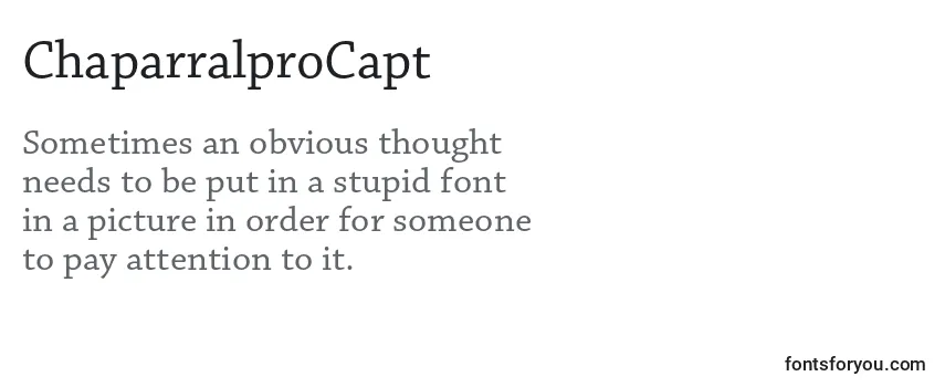 ChaparralproCapt Font