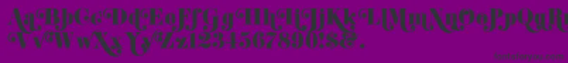 Czcionka K22DidoniSwash – czarne czcionki na fioletowym tle