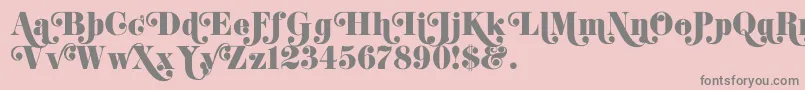 K22DidoniSwash Font – Gray Fonts on Pink Background