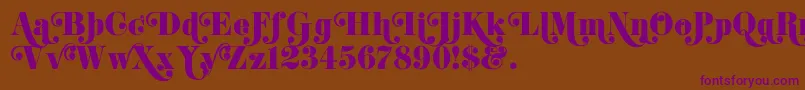 K22DidoniSwash Font – Purple Fonts on Brown Background
