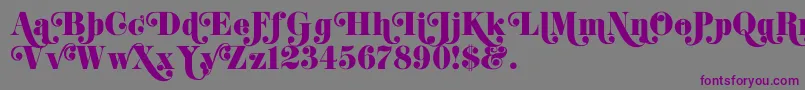 K22DidoniSwash Font – Purple Fonts on Gray Background