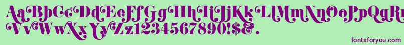 K22DidoniSwash Font – Purple Fonts on Green Background