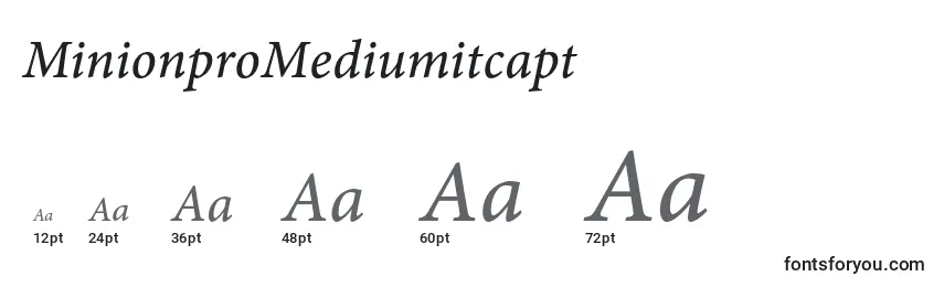 Größen der Schriftart MinionproMediumitcapt