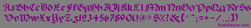 Paladpcr-fontti – violetit fontit harmaalla taustalla