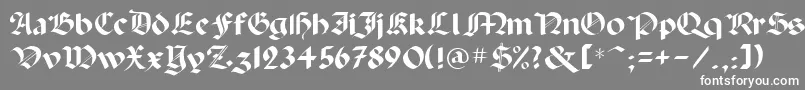 フォントPaladpcr – 灰色の背景に白い文字