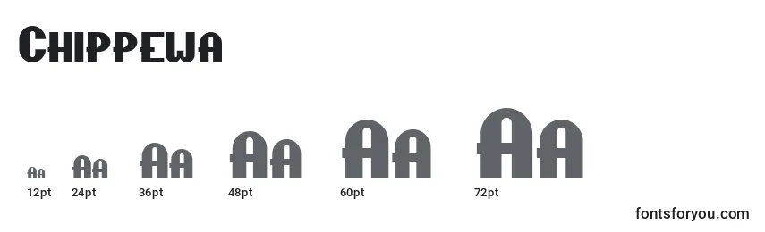 Größen der Schriftart Chippewa