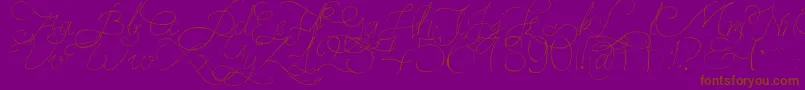 PersifalPen-Schriftart – Braune Schriften auf violettem Hintergrund