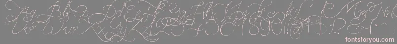PersifalPen Font – Pink Fonts on Gray Background