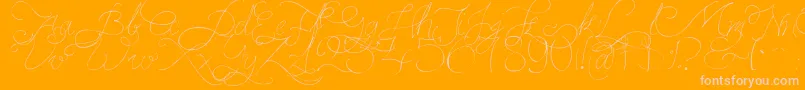 PersifalPen-Schriftart – Rosa Schriften auf orangefarbenem Hintergrund