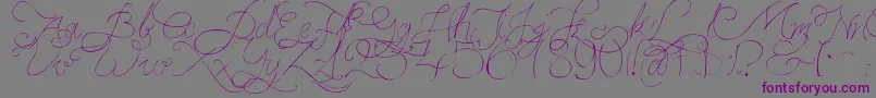 Czcionka PersifalPen – fioletowe czcionki na szarym tle
