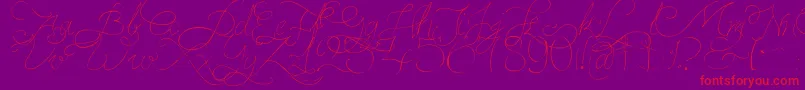 PersifalPen-Schriftart – Rote Schriften auf violettem Hintergrund