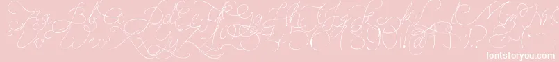 fuente PersifalPen – Fuentes Blancas Sobre Fondo Rosa