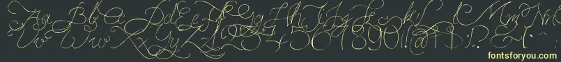 PersifalPen-Schriftart – Gelbe Schriften auf schwarzem Hintergrund