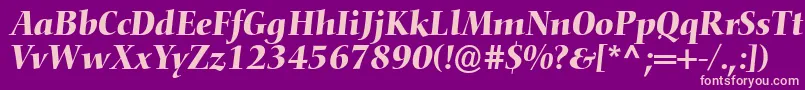 ConquistaSsiItalic Font – Pink Fonts on Purple Background