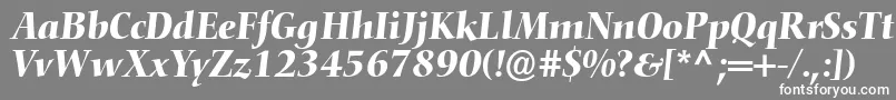 フォントConquistaSsiItalic – 灰色の背景に白い文字