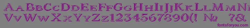 フォントColtaineNo2 – 紫色のフォント、灰色の背景