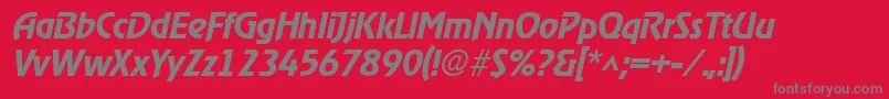 RevelmediumItalic Font – Gray Fonts on Red Background