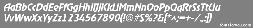 fuente RevelmediumItalic – Fuentes Blancas Sobre Fondo Gris