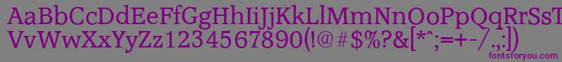 AccoladeserialRegular Font – Purple Fonts on Gray Background