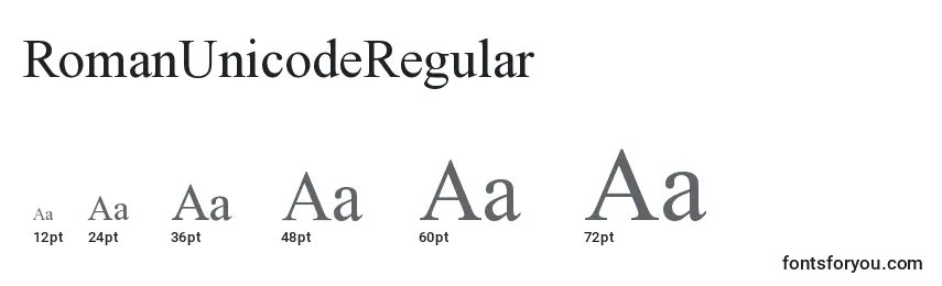 Размеры шрифта RomanUnicodeRegular