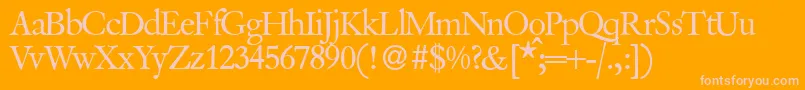 VanitybookRegular Font – Pink Fonts on Orange Background