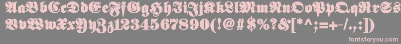 Elephantablack-Schriftart – Rosa Schriften auf grauem Hintergrund