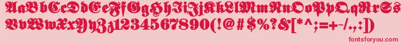 Elephantablack Font – Red Fonts on Pink Background