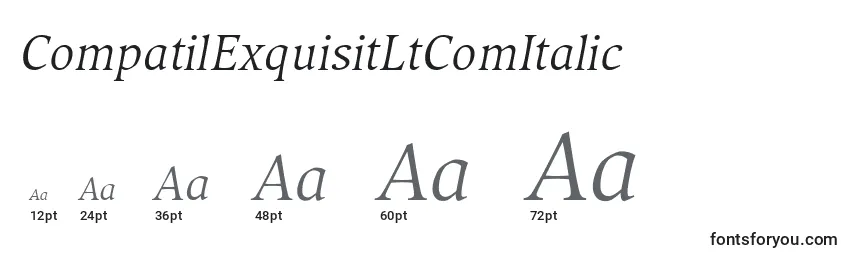 Размеры шрифта CompatilExquisitLtComItalic