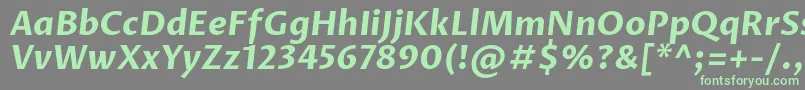 ProzalibreBolditalic-Schriftart – Grüne Schriften auf grauem Hintergrund