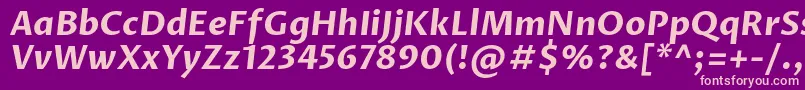 ProzalibreBolditalic-fontti – vaaleanpunaiset fontit violetilla taustalla