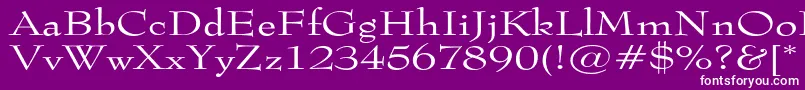 Tophatextended Font – White Fonts on Purple Background