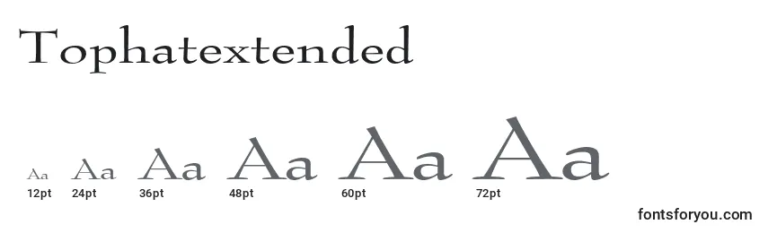Tophatextended Font Sizes