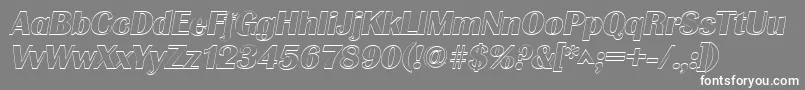 GrenobleoutlineItalic Font – White Fonts on Gray Background