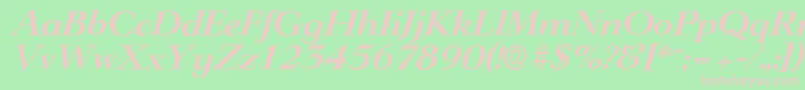 LingwoodserialBolditalic Font – Pink Fonts on Green Background