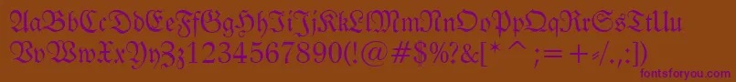 FrakturBt Font – Purple Fonts on Brown Background