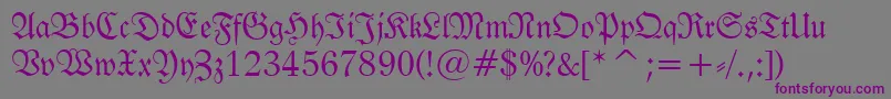 FrakturBt Font – Purple Fonts on Gray Background