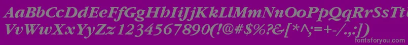 GarnetBoldItalic Font – Gray Fonts on Purple Background