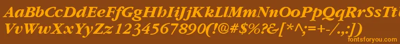 GarnetBoldItalic Font – Orange Fonts on Brown Background