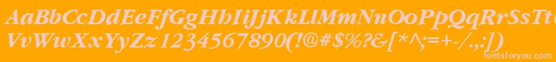 GarnetBoldItalic Font – Pink Fonts on Orange Background